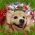 Audra Ph's profile image
