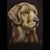 Cindy-John Haldemann's profile image