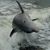 Kelly Watts's profile image