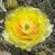 Debra Dryburgh's profile image