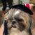 Faye Schneider's profile image