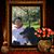 Renee Jordan-Cogbill's profile image
