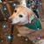 Karen Weise's profile image