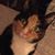 Lisa Ruocco Grillo's profile image