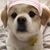 Quiam B Bao's profile image