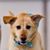 Chelle Peterson's profile image