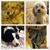 Cathy Feltner's profile image