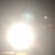 David Richard Bassett's profile image