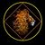 Rich Begallia's profile image