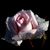 Faye Parker's profile image