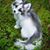 Rodney Kramer's profile image