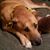 Trish Smallwood's profile image