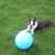 Linda Gockley's profile image