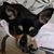 Merrisa Green's profile image