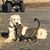 Teri Kramer's profile image