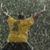 DeWayne Boone's profile image