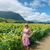 Kristyna Umbaugh's profile image