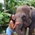 Kyana Lewis's profile image