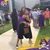 Selena Locklear's profile image