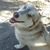 Samantha Burmeister's profile image