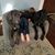 Kellie Hinds's profile image