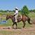 Nancy Pruitt's profile image