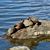 David B Keeffe's profile image
