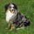 Martha Fiddie's profile image