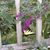 Monica Bradshaw's profile image