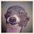 Katherine Allen's profile image