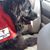 Linda Howard Huff's profile image