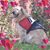 Lynn Harridge Humphries's profile image