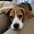 Cynthia Ironson's profile image