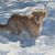 Lynn Miller's profile image