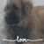 Leslie Royal Gast's profile image