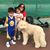 Shelly Chen's profile image