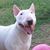 Ray Sue Probyn's profile image