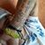 Mario Davalos's profile image