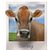 Ann Moser's profile image