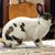 Laurie Liddy's profile image