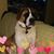 Dori Murray's profile image