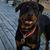 Deb Leszczak's profile image