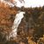 Linda Hoogendam's profile image