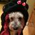 Ioana Lozonschi's profile image