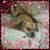 Maria Verucci's profile image