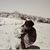 Nancy Lacombe's profile image