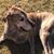 Adam S.'s profile image
