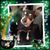 Kimberly Joy Lewellyn's profile image