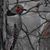 Jeannette Snyder O'Neal's profile image