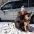 Jennifer Hoover Wickman's profile image